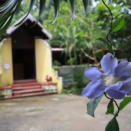 Phoenix Castle House Palolem คานาโคนา ภายนอก รูปภาพ