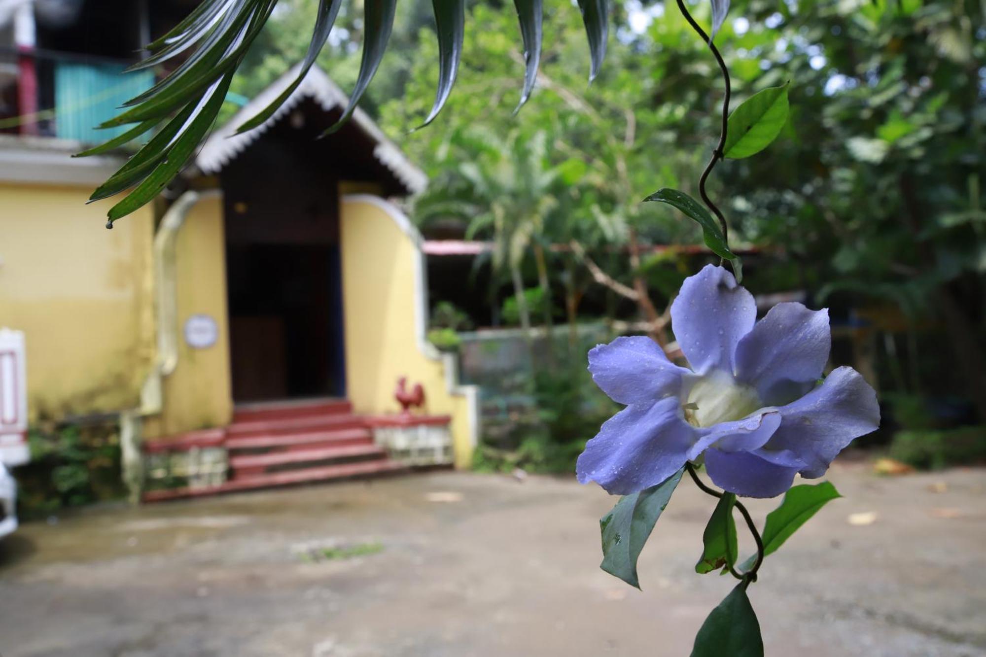 Phoenix Castle House Palolem คานาโคนา ภายนอก รูปภาพ